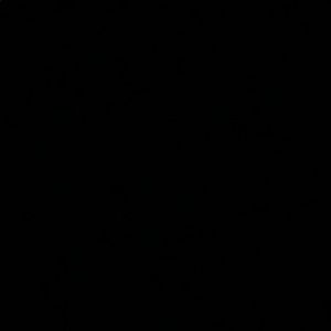 Meet your Posher, Tori